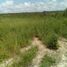 在Campeche出售的 土地, Carmen, Campeche