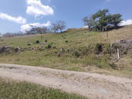  Terreno (Parcela) en venta en Valle Del Cauca, Cartago, Valle Del Cauca