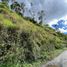  Terrain for sale in Loja, Malacatos Valladolid, Loja, Loja