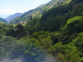  Terrain for sale in Loja, Malacatos Valladolid, Loja, Loja