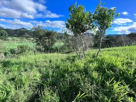  Land for sale in Loja, Malacatos Valladolid, Loja, Loja