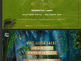 Terrain à vendre à Puerto Morelos, Quintana Roo, Puerto Morelos