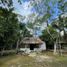  Land for sale in Tekom, Yucatan, Tekom