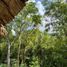  Land for sale in Tekom, Yucatan, Tekom