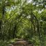  Land for sale in Tekom, Yucatan, Tekom