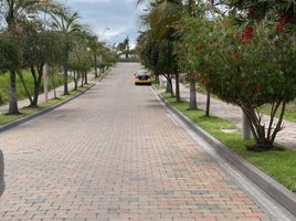 Terreno (Parcela) en venta en Tumbaco, Pichincha, Tumbaco