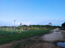  Terreno (Parcela) en venta en Tolima, Ibague, Tolima