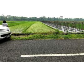  Land for sale in Prambanan, Klaten, Prambanan