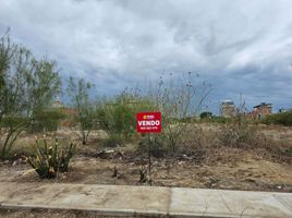  Terreno (Parcela) en venta en Piura, Piura, Castilla, Piura