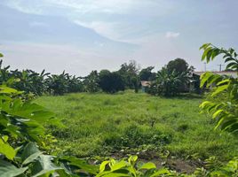  Land for sale in Magalang, Pampanga, Magalang