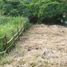  Terreno (Parcela) en venta en Antipolo City, Calabarzon, Antipolo City