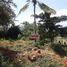  Land for rent in Panglao, Central Visayas, Panglao, Bohol