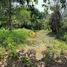  Land for sale in Juanacatlan, Jalisco, Juanacatlan