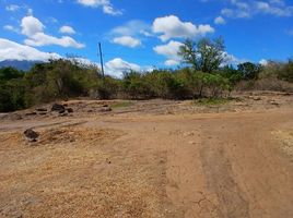  Land for sale in Negros Oriental Negros Island Region, Dauin, Negros Oriental