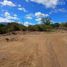  Land for sale in Negros Oriental Negros Island Region, Dauin, Negros Oriental, Negros Island Region