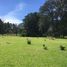  Land for sale in Singuilucan, Hidalgo, Singuilucan