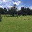  Land for sale in Singuilucan, Hidalgo, Singuilucan