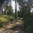  Land for sale in Singuilucan, Hidalgo, Singuilucan