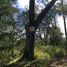  Land for sale in Singuilucan, Hidalgo, Singuilucan