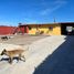 Maison 4 chambre à vendre à Tijuana, Baja California, Tijuana