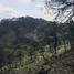  Land for sale in Zapopan, Jalisco, Zapopan, Jalisco