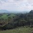  Land for sale in Zapopan, Jalisco, Zapopan, Jalisco
