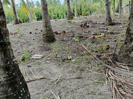  Grundstück zu verkaufen in Negros Oriental, Negros Island Region, Siaton, Negros Oriental