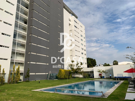 4 Habitación Departamento en alquiler en Celaya, Guanajuato, Celaya