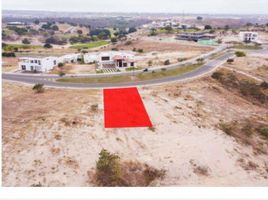  Terreno (Parcela) en venta en Manabi, Montecristi, Montecristi, Manabi