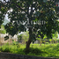 Terreno (Parcela) en venta en Quezon City, Metro Manila, Quezon City, Eastern District, Metro Manila