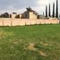  Land for sale in Zapopan, Jalisco, Zapopan, Jalisco