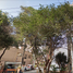 2 Bedroom Apartment for sale in Miguel Hidalgo, Mexico City, Miguel Hidalgo