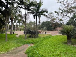  Land for sale in Pachacamac, Lima, Pachacamac