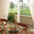 Maison 3 chambre à vendre à Tagaytay City, Calabarzon, Tagaytay City, Cavite