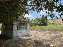 1 Schlafzimmer Haus zu verkaufen in Cuautla, Morelos, Cuautla