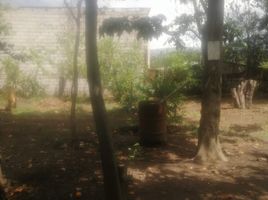  Grundstück zu verkaufen in Cumbaya, Pichincha, Cumbaya