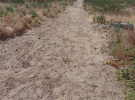  Terreno (Parcela) en venta en Sullana, Piura, Sullana, Sullana