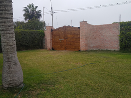  Terreno (Parcela) en venta en Cañete, Lima, Mala, Cañete