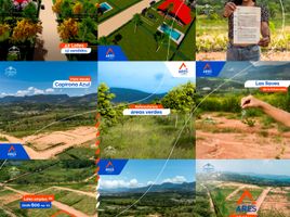  Land for sale in San Martin, La Banda De Shilcayo, San Martin, San Martin