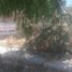  Terreno (Parcela) en venta en Castilla, Piura, Castilla, Piura, Piura