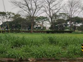  Grundstück zu verkaufen in Calamba City, Calabarzon, Calamba City