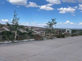 Terrain à vendre à Mexquitic De Carmona, San Luis Potosi, Mexquitic De Carmona, San Luis Potosi