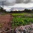  Terreno (Parcela) en venta en Merida, Yucatán, Merida, Yucatán