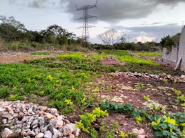  Terreno (Parcela) en venta en Merida, Yucatán, Merida, Yucatán