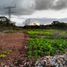  Terreno (Parcela) en venta en Merida, Yucatán, Merida, Yucatán