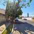  Land for sale in Zapopan, Jalisco, Zapopan, Jalisco