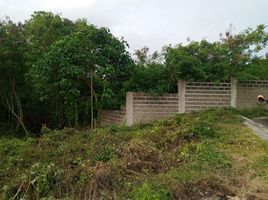  Terreno (Parcela) en venta en Compostela, Cebu, Compostela