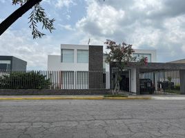 4 Habitación Departamento en alquiler en Cumbaya, Quito, Cumbaya