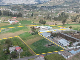  Land for sale in Tungurahua, Augusto N Martinez Mundugleo, Ambato, Tungurahua