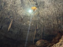  Grundstück zu verkaufen in Temozon, Yucatan, Temozon, Yucatan